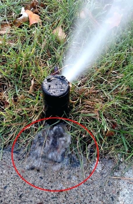Broken residential sprinkler head found during an irrigation system inspection in Houston
